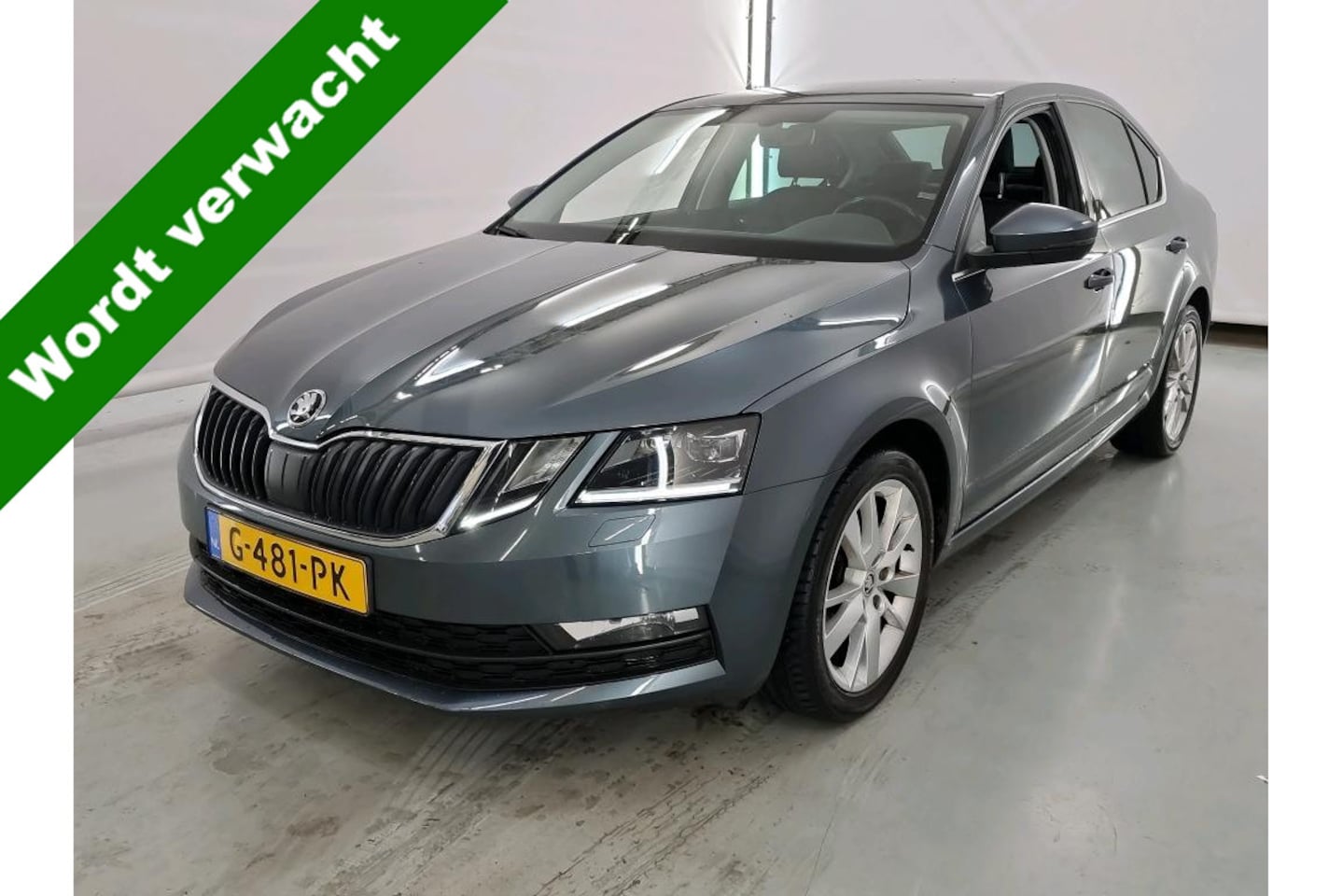 Skoda Octavia - 1.0 TSI Greentech Ambition Business NL AUTO | DSG | STOELVERW | CRUISE | CARPLAY | - AutoWereld.nl