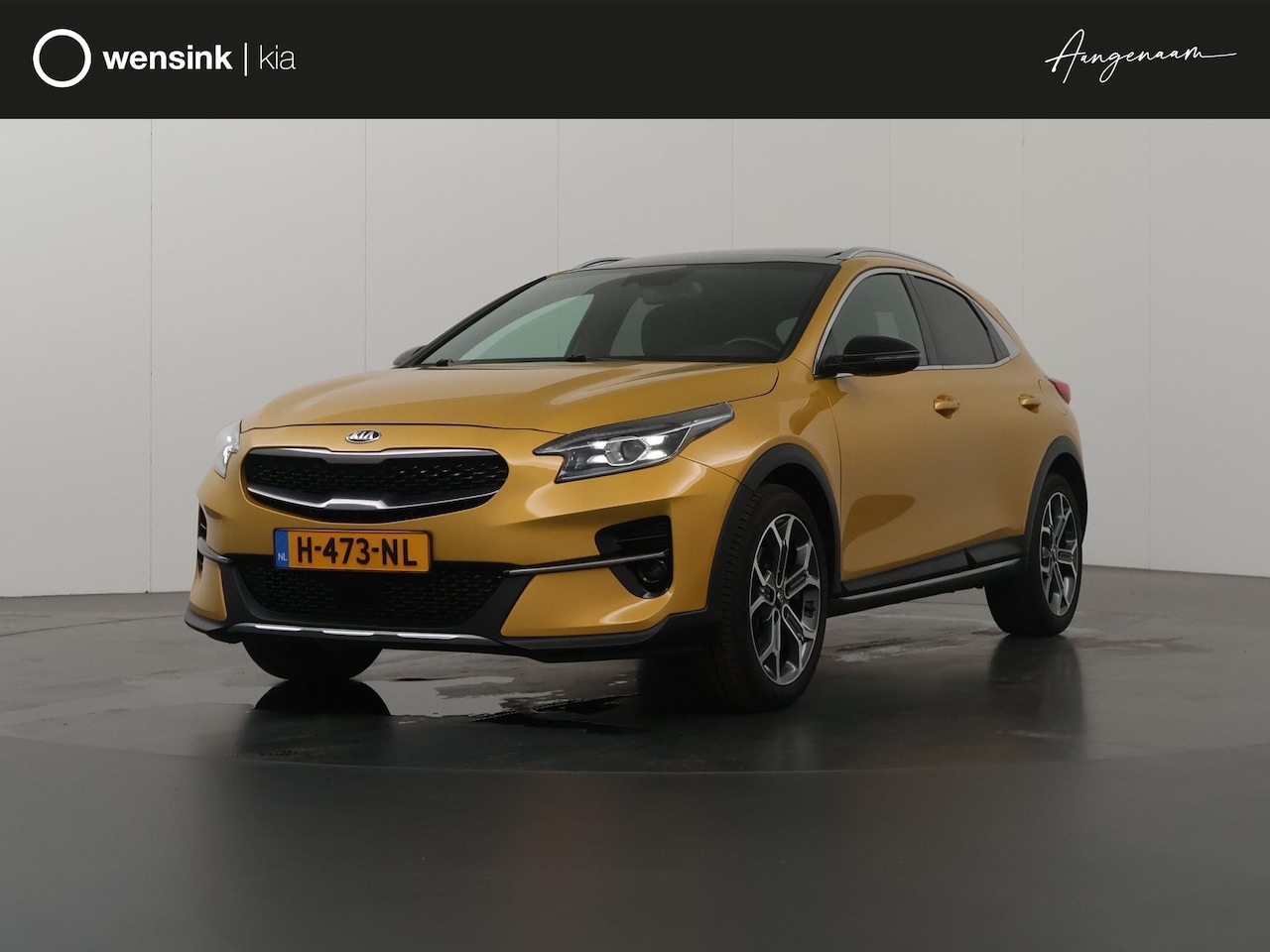 Kia XCeed - 1.0 T-GDi DynamicPlusLine | Panoramadak | Stoel/Stuurwielverwarming | Keyless | Navigatie - AutoWereld.nl