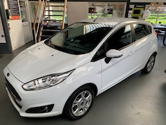 Ford Fiesta - 1.0 Style Ultimate Zeer nette en complete auto