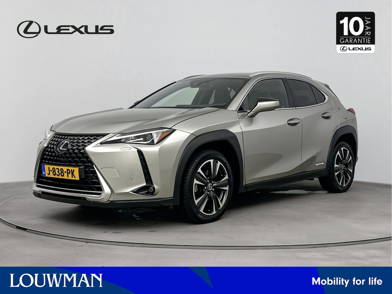 Lexus UX - 250h Business Line | Trekhaak | Navigatie | Parkeercamera | Apple CarPlay | - AutoWereld.nl