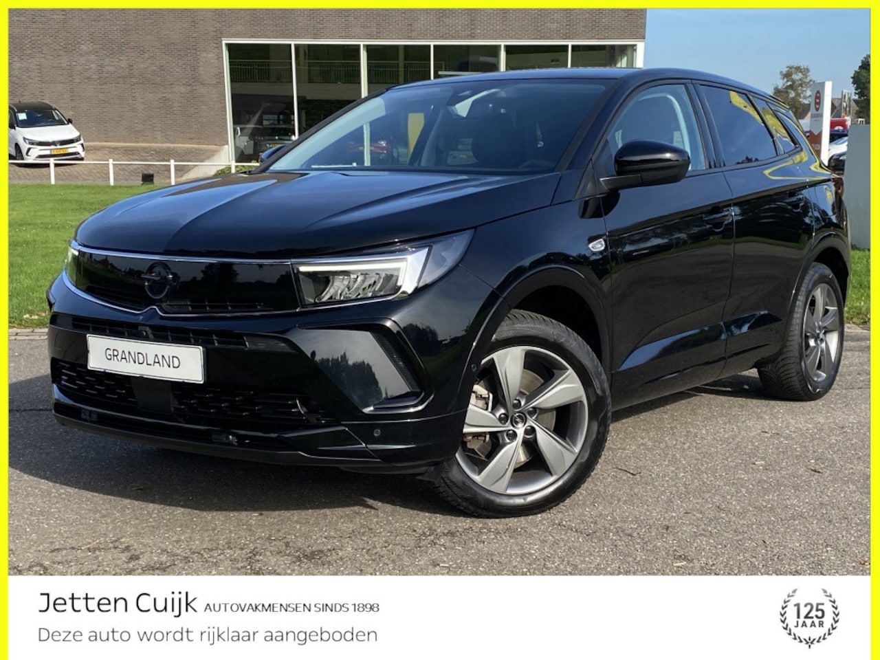 Opel Grandland - 1.6 Turbo Hybrid #RIJKLAAR# | Camera | Stuurverwarming | Carplay - AutoWereld.nl