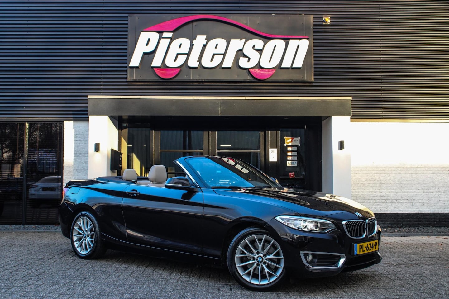 BMW 2-serie Cabrio - 220i XENON LEDER PDC NAVI DUAL CLIMA - AutoWereld.nl