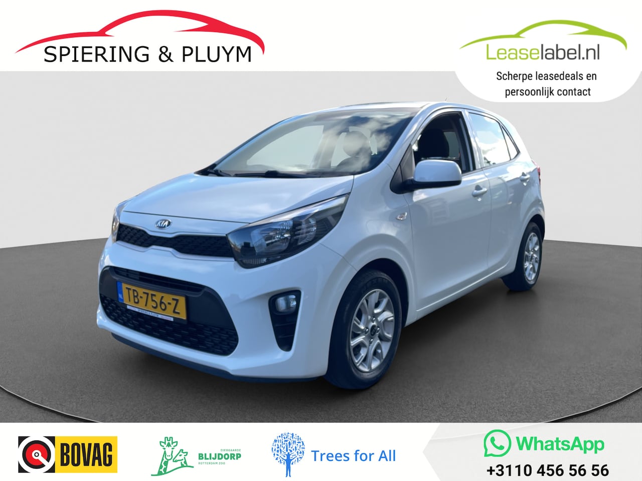 Kia Picanto - 1.0 CVVT EconomyPlusLine | Airco | 1e eigenaar | Dealeronderhouden - AutoWereld.nl