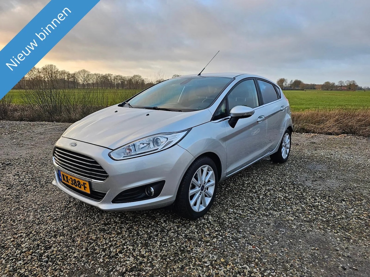 Ford Fiesta - 1.0 EcoBoost Silver Edition 1.0 EcoBoost Silver Edition - AutoWereld.nl