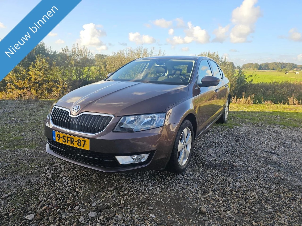 Skoda Octavia - 1.2 TSI Greentech Elegance 1.2 TSI Greentech Elegance - AutoWereld.nl