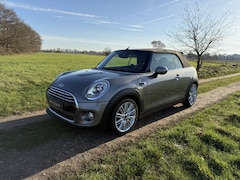 MINI Cabrio - 1.5 Cooper Chili Leder Chester Malt, LED, Climate. Zeer mooi