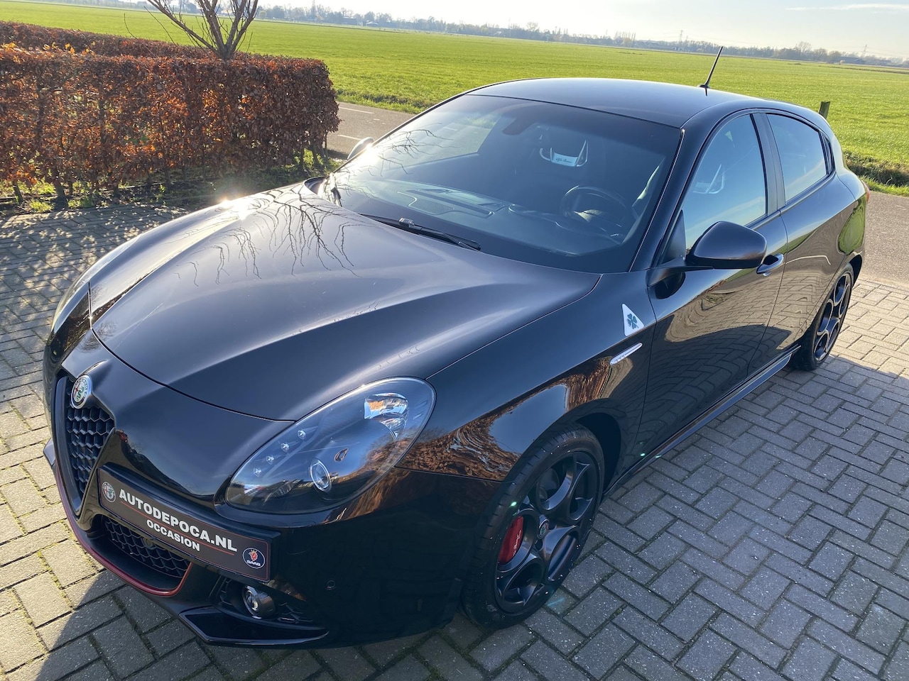 Alfa Romeo Giulietta - 1.750 Turbo Veloce Neto Etna, Bose, Xenon, 8c velgen en punt gaaf! - AutoWereld.nl