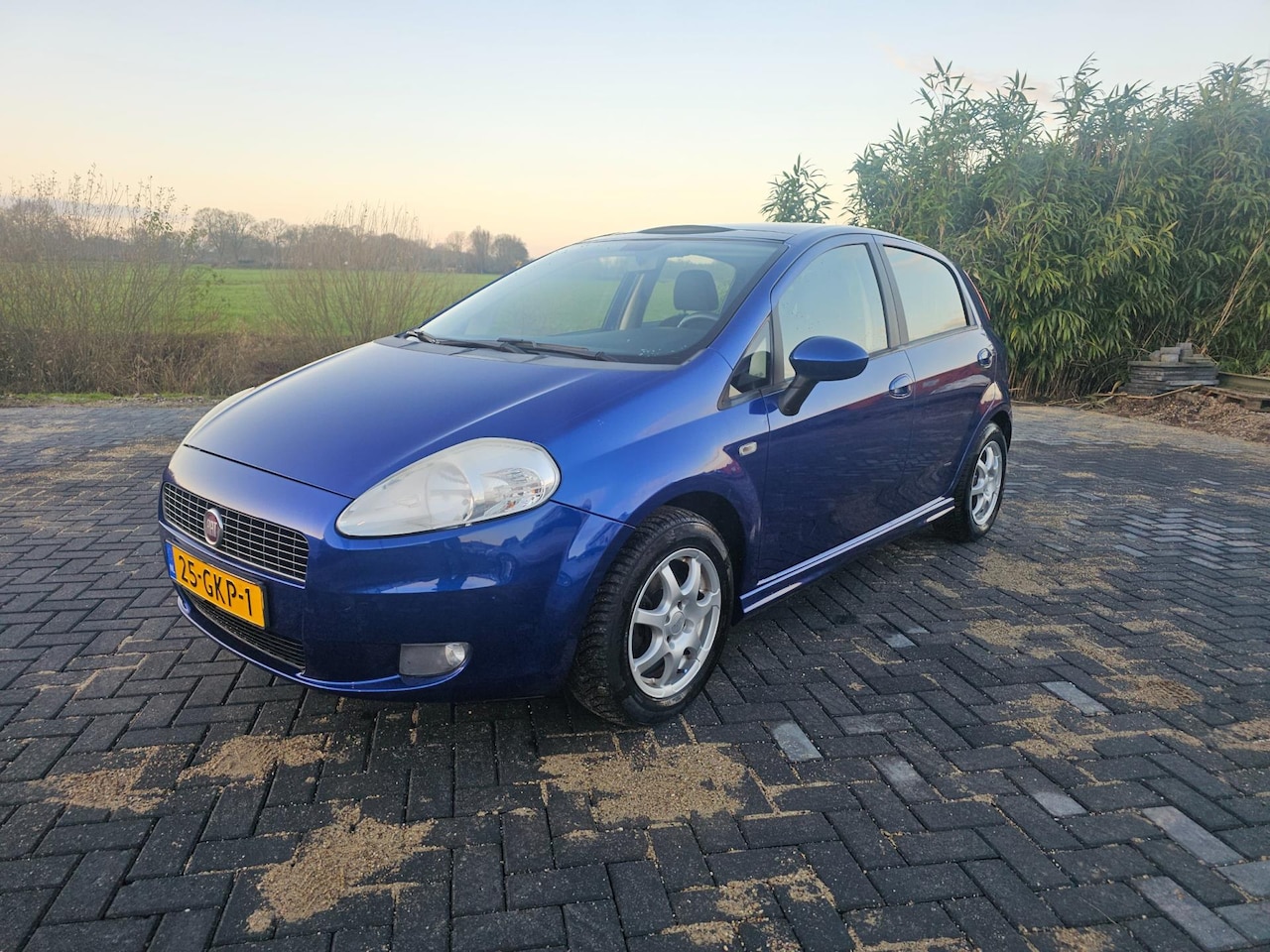 Fiat Grande Punto - 1.4 Dynamic PANORAMADAK! - AutoWereld.nl