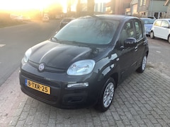 Fiat Panda - 0.9 TWINAIR ED. COOL