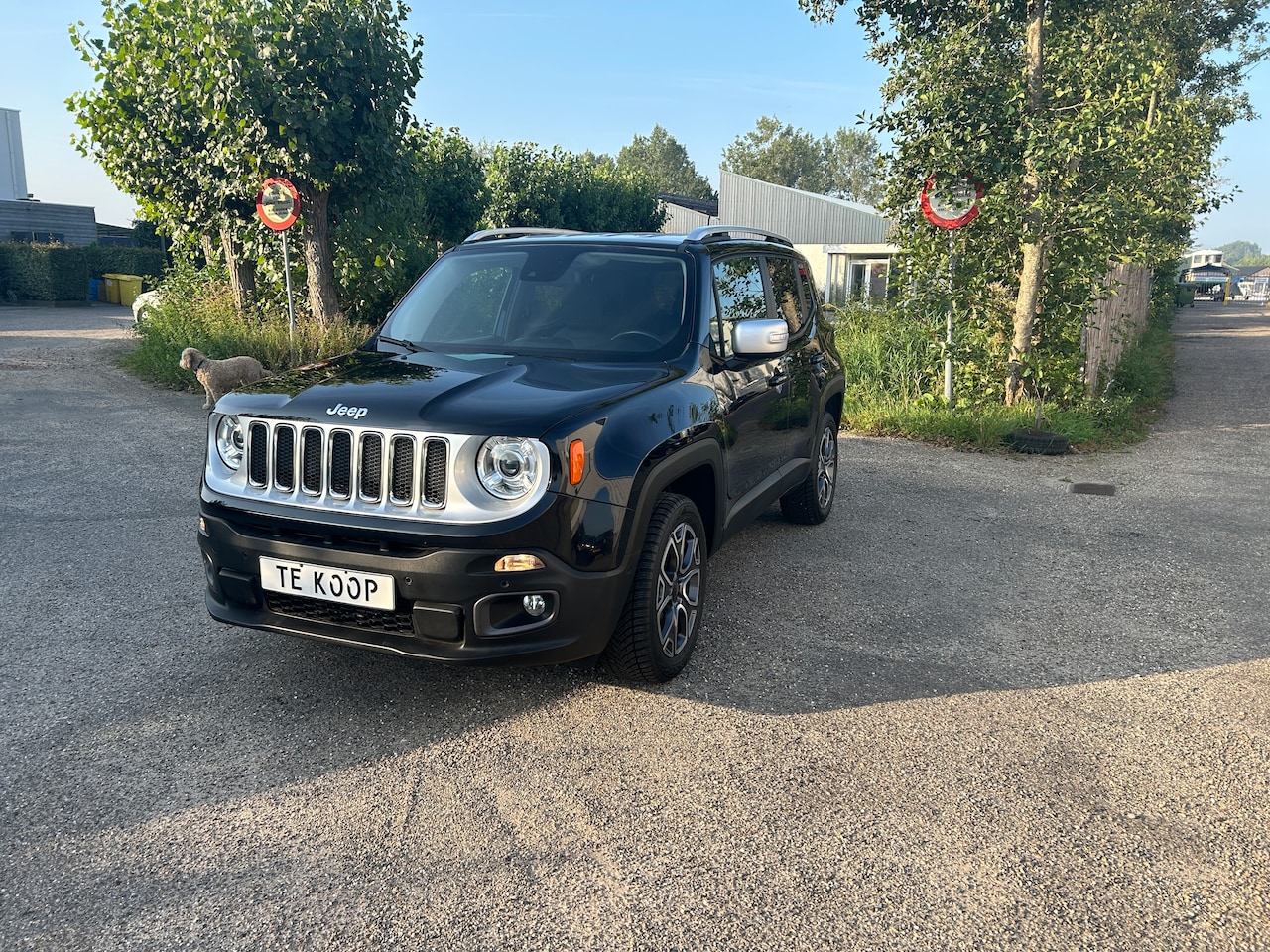 Jeep Renegade - 1.4 MultiAir Limited AWD - AutoWereld.nl