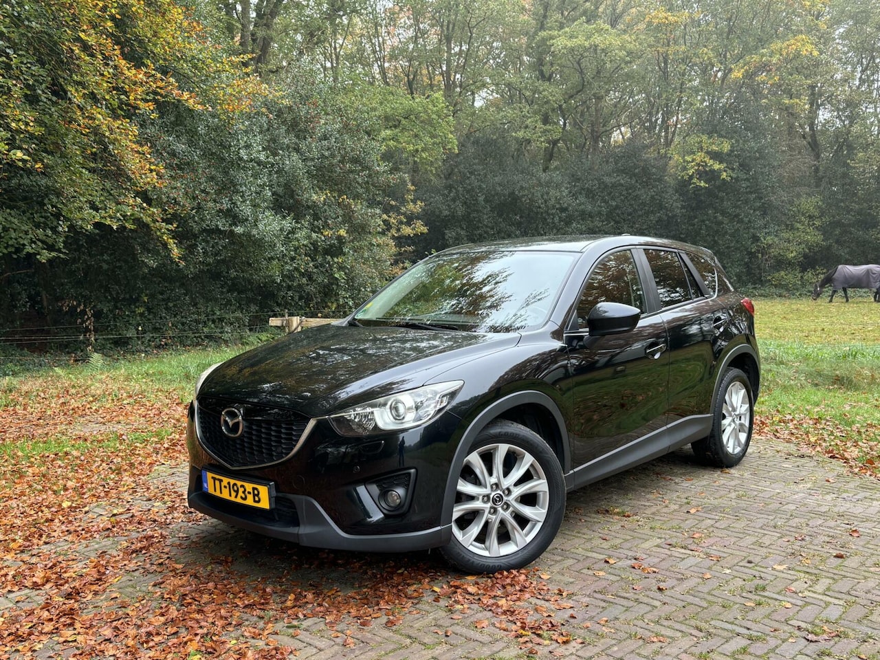 Mazda CX-5 - CX5 2.2D 176PK 08-2014 4WD 4X4 Automaat Handel/Export - AutoWereld.nl