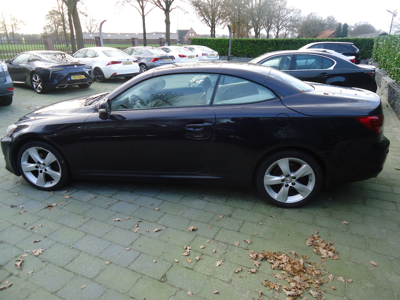 Lexus IS Cabriolet - 250C Executive WINTERPRIJS