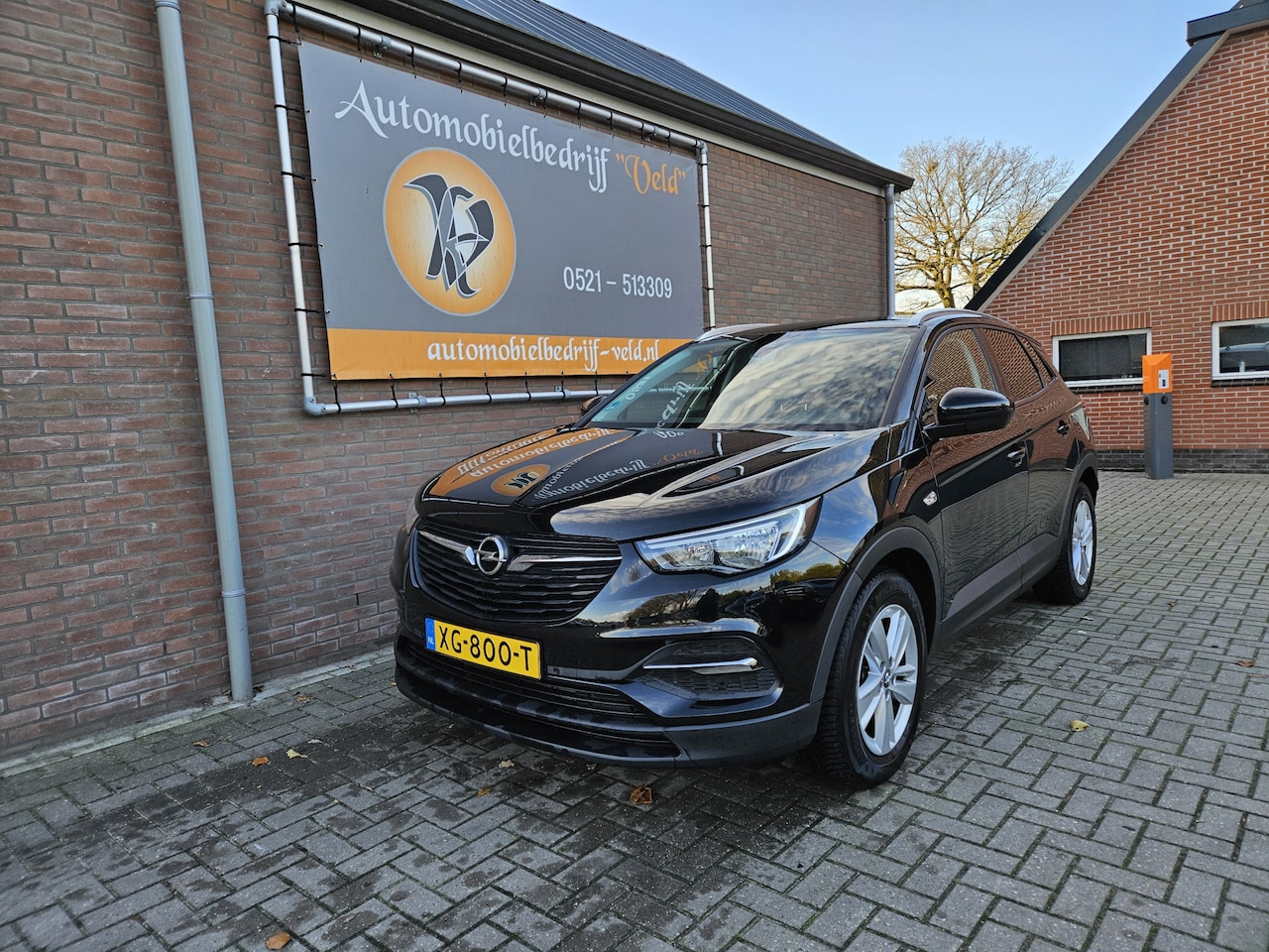 Opel Grandland X - 1.2 Turbo Business 1.2 Turbo Business + - AutoWereld.nl