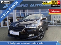 Skoda Fabia - 1.0 TSI Business Edition | Nieuwe 4-seizoenenbanden | DAB | PDC achter | Apple Carplay | A