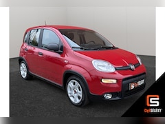 Fiat Panda - 1.0 Hybrid City 5 Persoons Airco Stoelverwarming