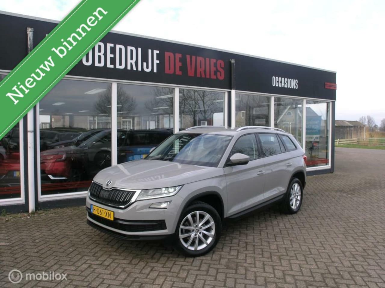 Skoda Kodiaq - 1.5 TSI Business Edition Halfleder/Navi/Applecarplay - AutoWereld.nl