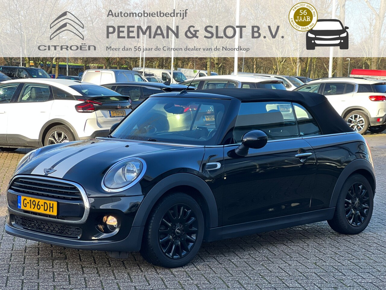 MINI Cabrio - 1.5 Cooper Pepper Serious Business Mini 1.5 Cooper Pepper Serious Business - AutoWereld.nl