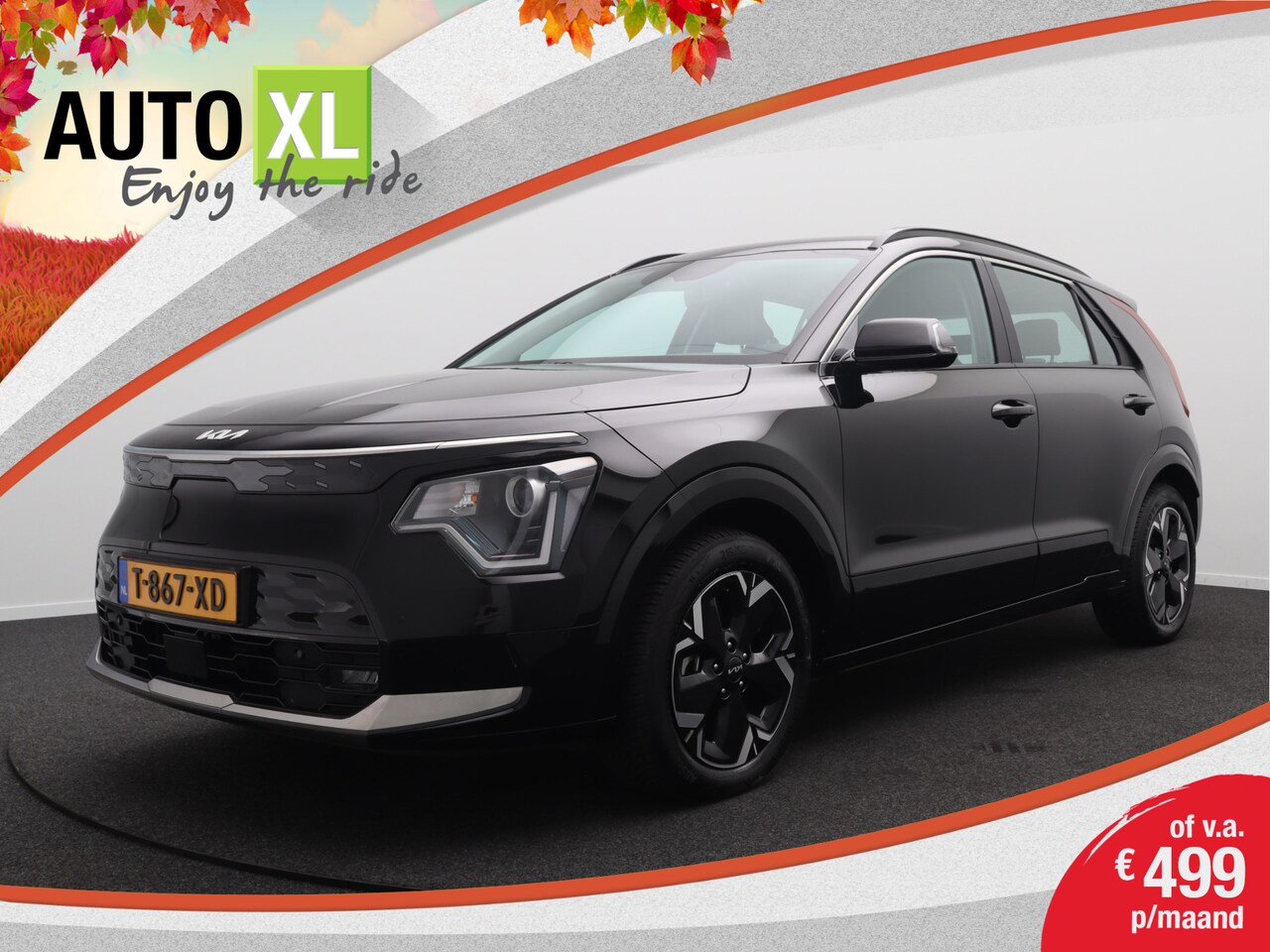 Kia Niro EV - DynamicLine 64.8 kWh Fase-3 Camera Half-Leder Adapt. Cruise - AutoWereld.nl