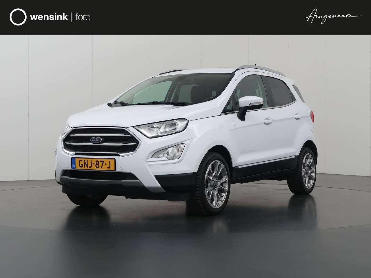 Ford EcoSport - 1.0 EcoBoost Automaat Titanium | Schuif-/kanteldak | Winterpack | Climate Control | Naviga - AutoWereld.nl