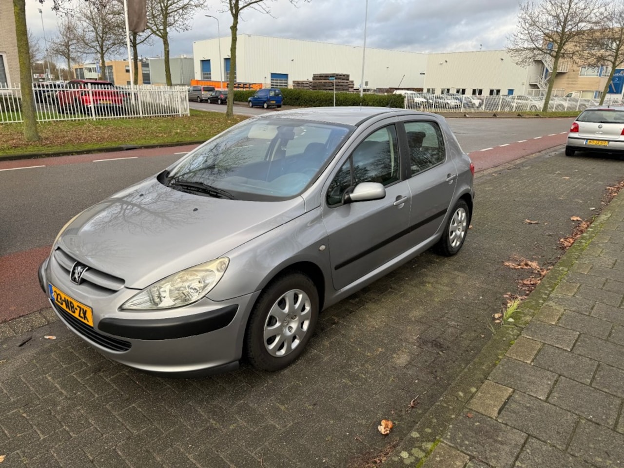 Peugeot 307 - 1.6 HB 5 drs - inruilkoopje - rijdt en schakelt prima - AutoWereld.nl