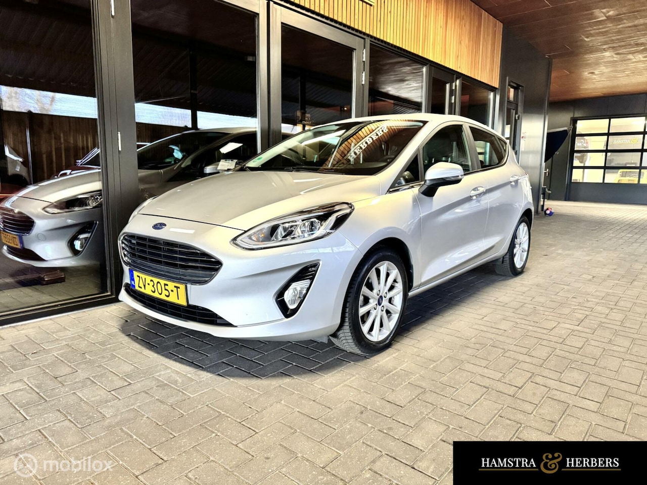 Ford Fiesta - 1.0 EcoBoost Titanium grijs/metallic - AutoWereld.nl