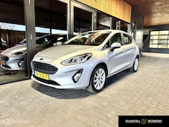 Ford Fiesta - 1.0 EcoBoost Titanium grijs/metallic