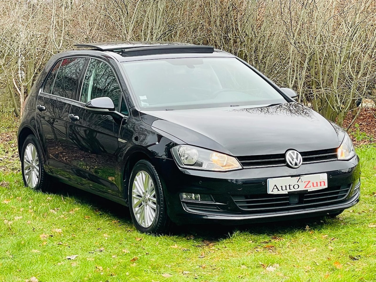 Volkswagen Golf - 1.4 TSI Highline/Ad Cruise/PDC,Clima/Airco/Pano/CUP Edition - AutoWereld.nl