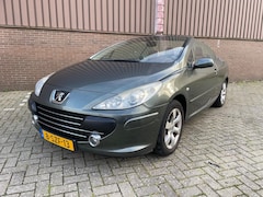 Peugeot 307 CC - 1.6-16V Leer Clima PDC Cruise APK