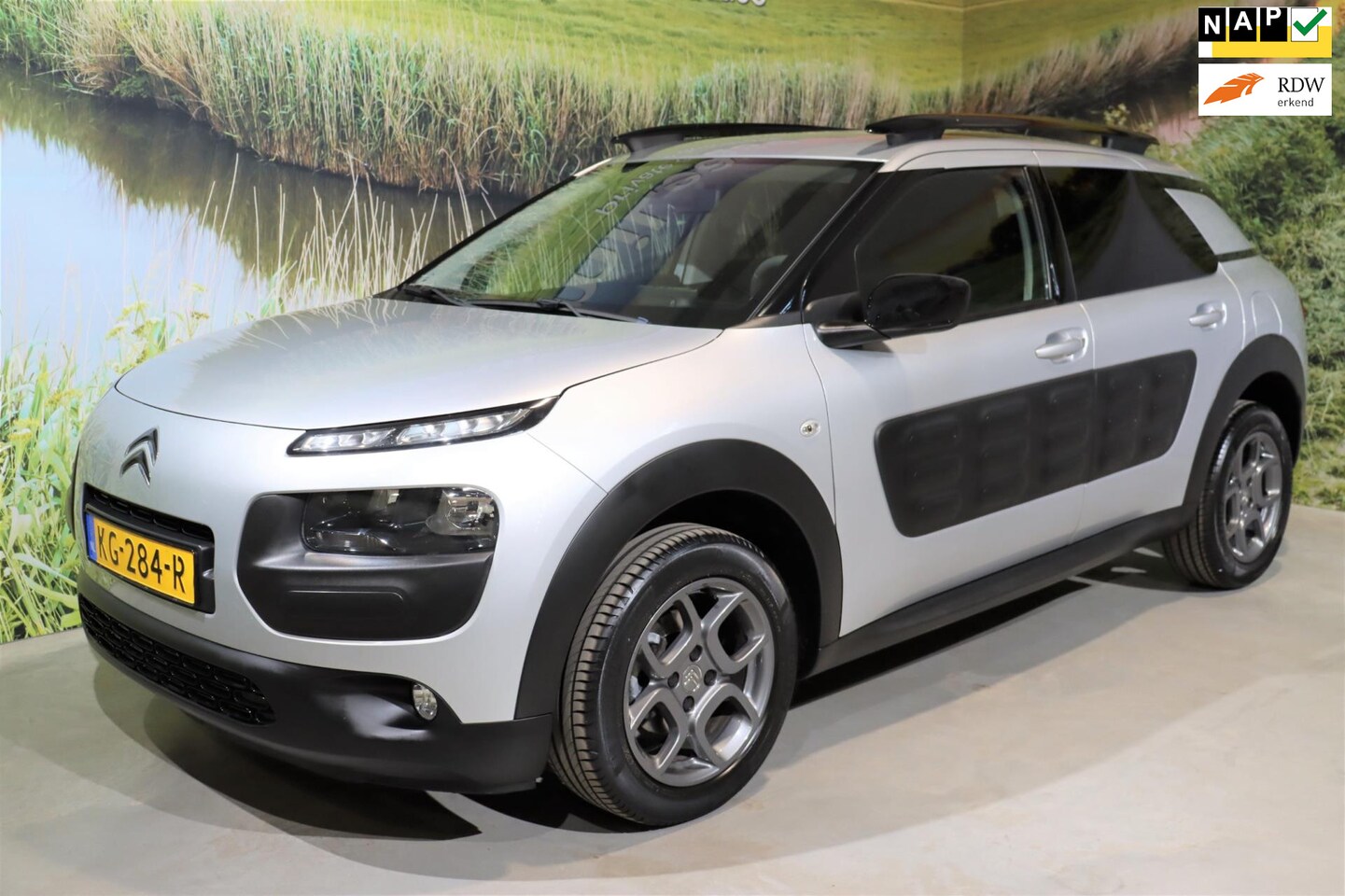 Citroën C4 Cactus - 1.2 PT Shine | Distr. riem VV! | PDC - AutoWereld.nl