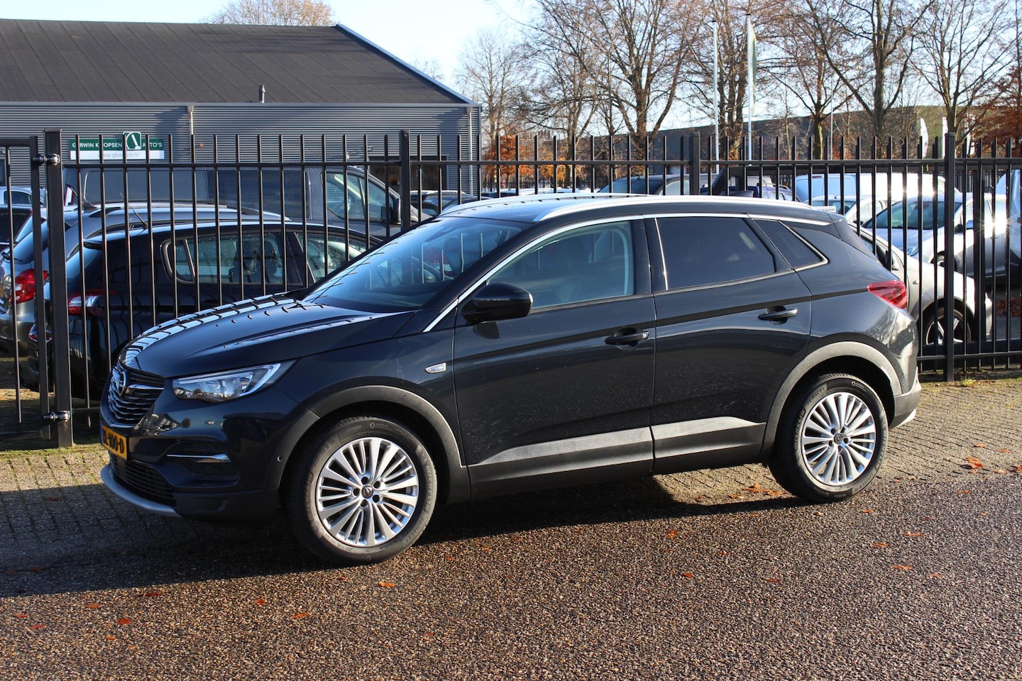 Opel Grandland X - 1.2 Turbo Automaat, Business Executive - AutoWereld.nl