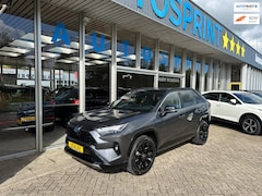 Toyota RAV4 - 2.5 Hybrid Style / CARPLAY / ACHTERUITRIJCAMERA / ELEKTRISCHE ACHTERKLEP