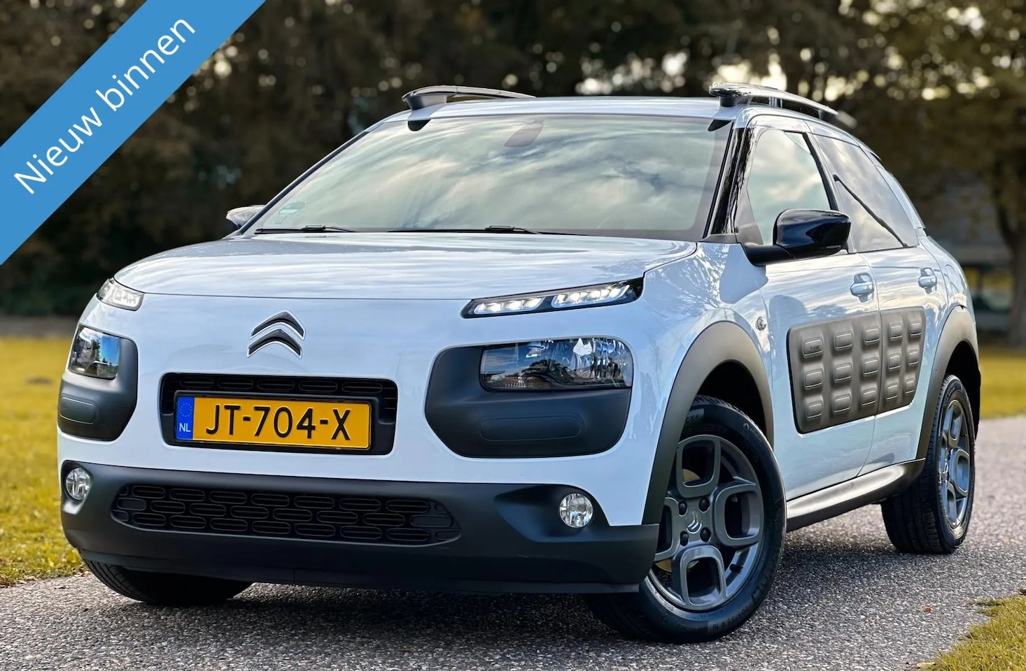 Citroën C4 Cactus - 1.2 PureTech Shine 1.2 PureTech Shine - AutoWereld.nl