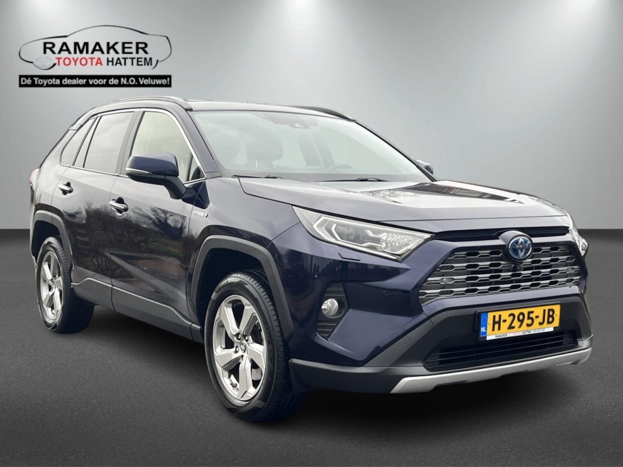 Toyota RAV4 - 2.5 Hybrid Executive 2.5 Hybrid Executive - AutoWereld.nl