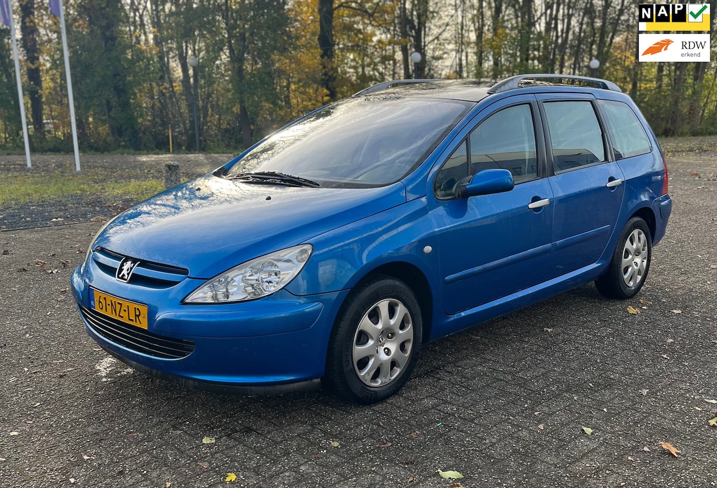 Peugeot 307 SW - 1.6 AUTOMAAT | Airco | Panoramadak - AutoWereld.nl