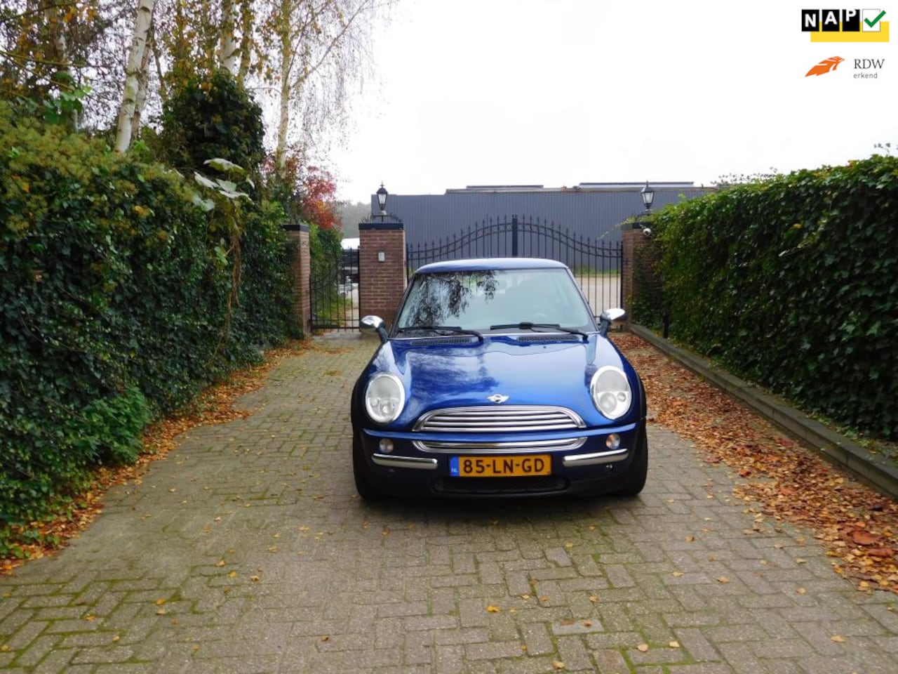 MINI One - Mini 1.6 Salt - AutoWereld.nl