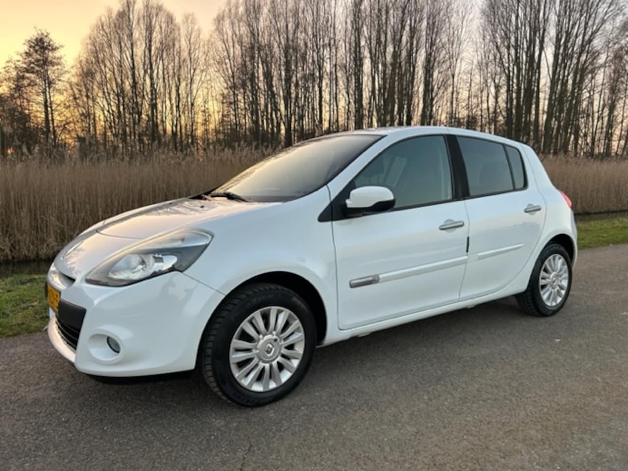 Renault Clio - 1.2 16V 79 pk 5D - AutoWereld.nl