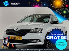 Skoda Fabia - 1.0 TSI Greentech 95pk Sport Business | NAVIGATIE