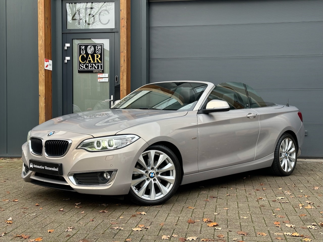 BMW 2-serie Cabrio - 220i Luxury 220i Luxury - AutoWereld.nl