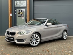 BMW 2-serie Cabrio - 220i Luxury