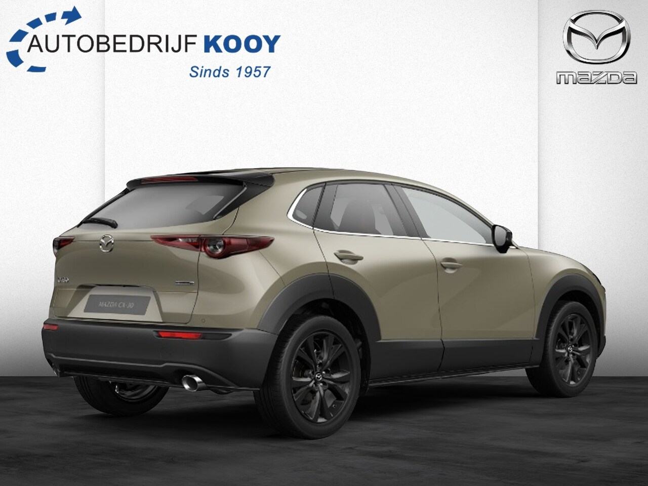 Mazda CX-30 - 2.0 eSkyActiv-X 186PK Nagisa Automaat - AutoWereld.nl