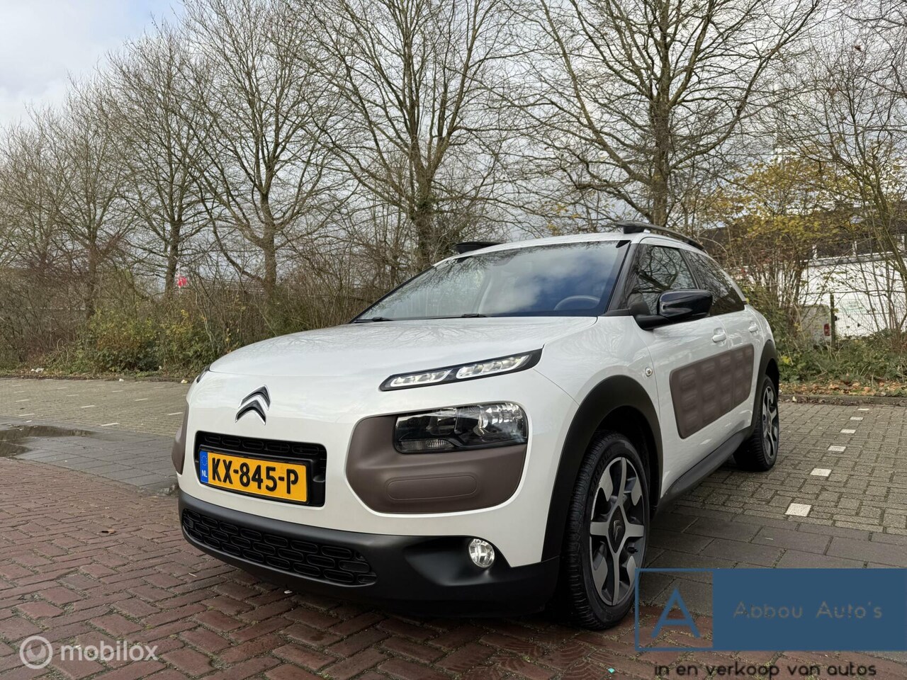 Citroën C4 Cactus - 1.2 PureTech Business Plus Panorama - AutoWereld.nl