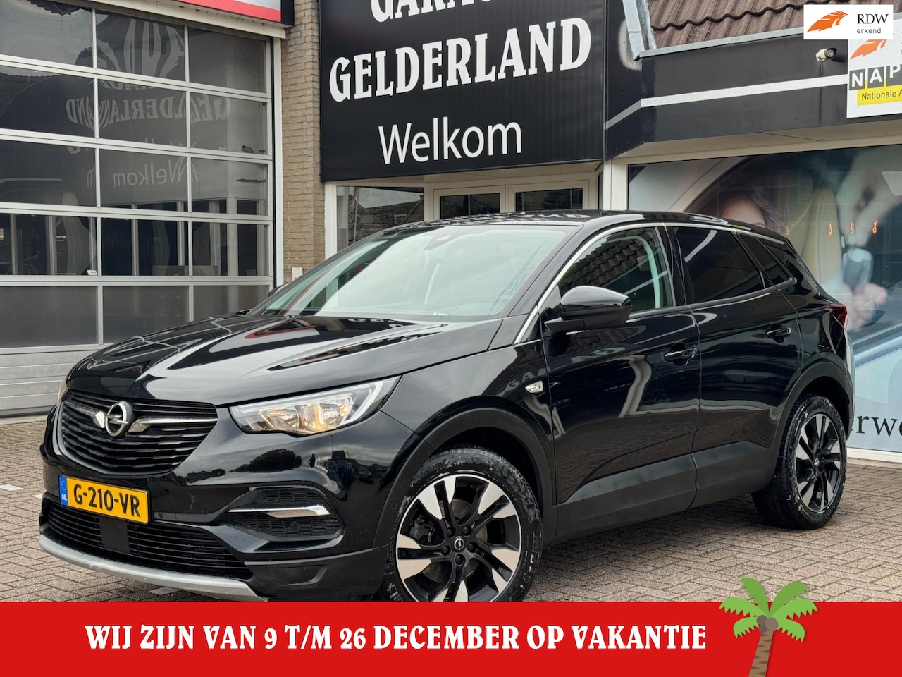 Opel Grandland X - 1.2 Turbo Business Executive | Leder | Navi | Cruise | Climate | Isofix | Full-option's! - AutoWereld.nl