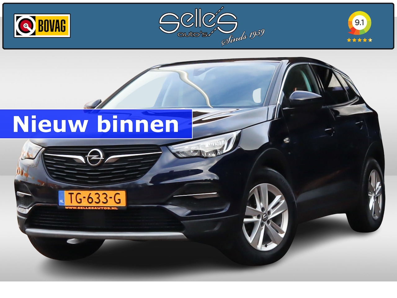 Opel Grandland X - 1.2 Turbo Business Executive | Trekhaak | Apple carplay | Navigatie | - AutoWereld.nl