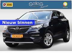 Opel Grandland X - 1.2 Turbo Business Executive | Trekhaak | Apple carplay | Navigatie |