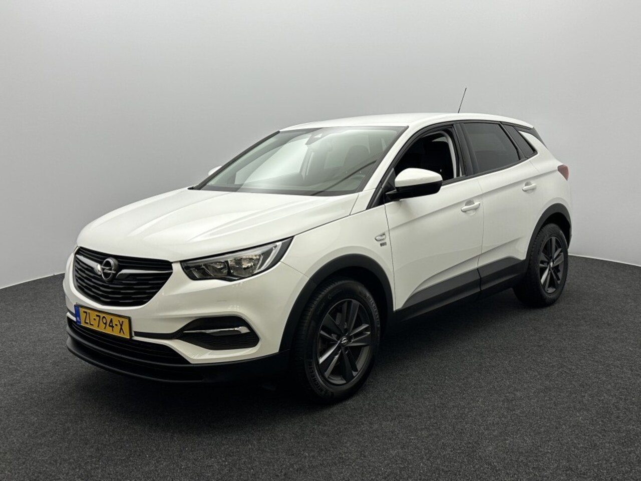 Opel Grandland X - 1.2 Turbo 120 Jaar Edition 1.2 Turbo 120 Jaar Edition - AutoWereld.nl