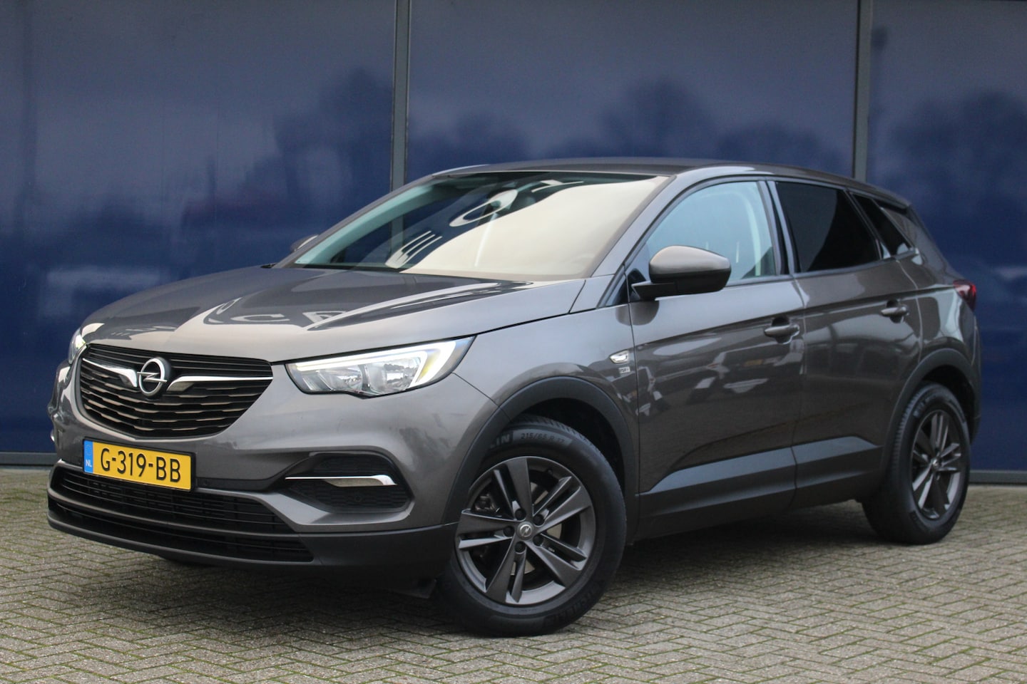 Opel Grandland X - 1.2 Turbo 120 Jaar Edit. AUT. | Cruise & Climate C. | Navigatie | Park Assist V&A | 17" LM - AutoWereld.nl