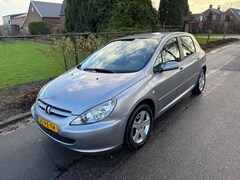 Peugeot 307 - 1.6-16V XSI AIRCO CRUISE LM VELGEN