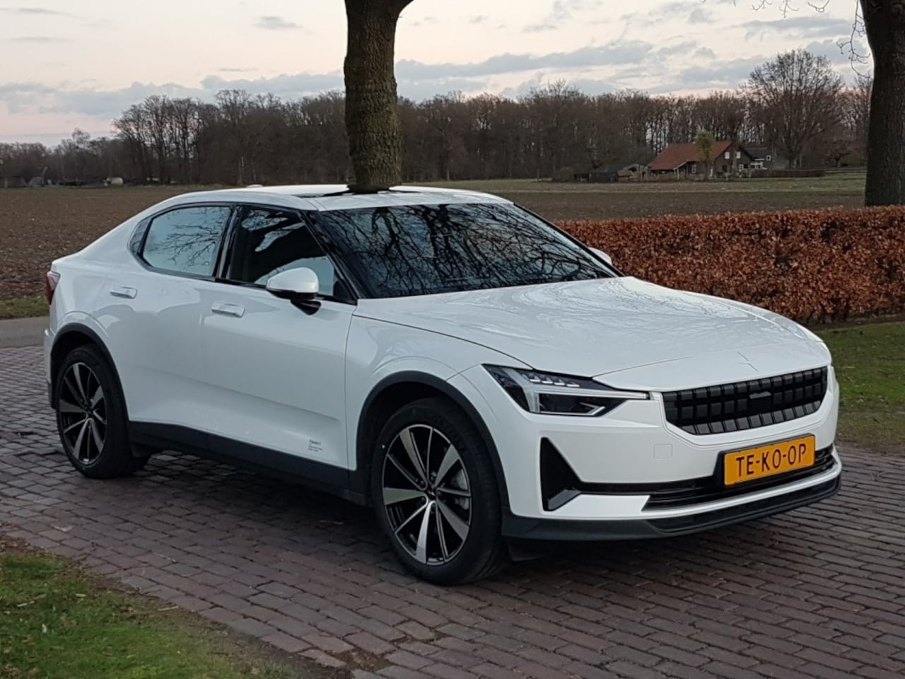 Polestar 2 - SR SM 64 kWh 231pk PlusPack Trekhaak - AutoWereld.nl