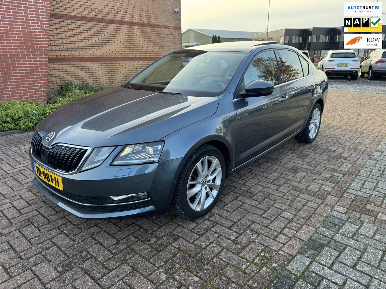 Skoda Octavia - 1.0 TSI Greentech Style Business Pano, Full Led, Canton, Leder - AutoWereld.nl