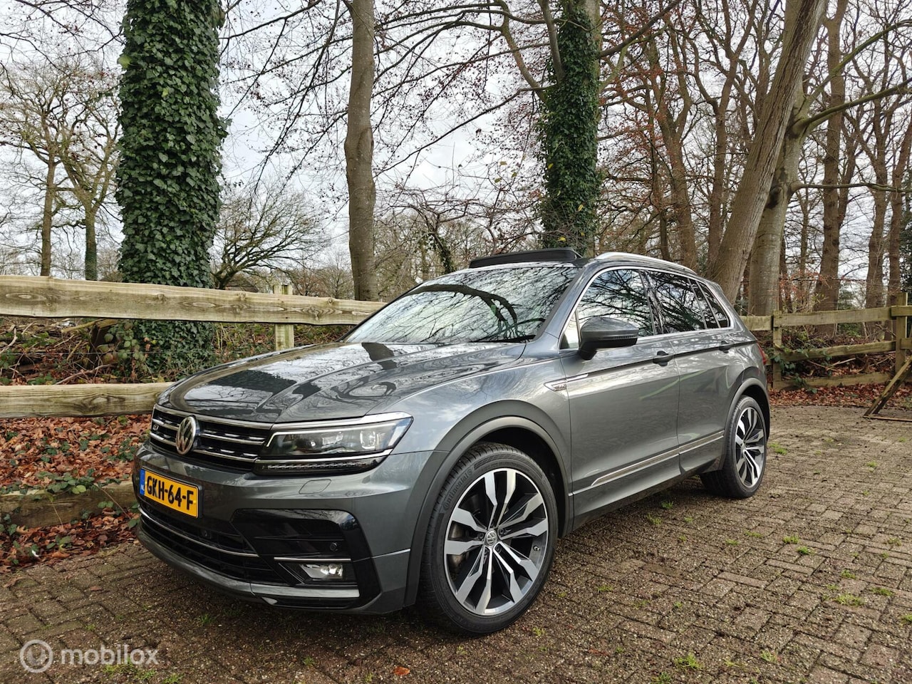 Volkswagen Tiguan - 2.0 TSI 4Motion R-line,Panoramadak,Vol opties - AutoWereld.nl